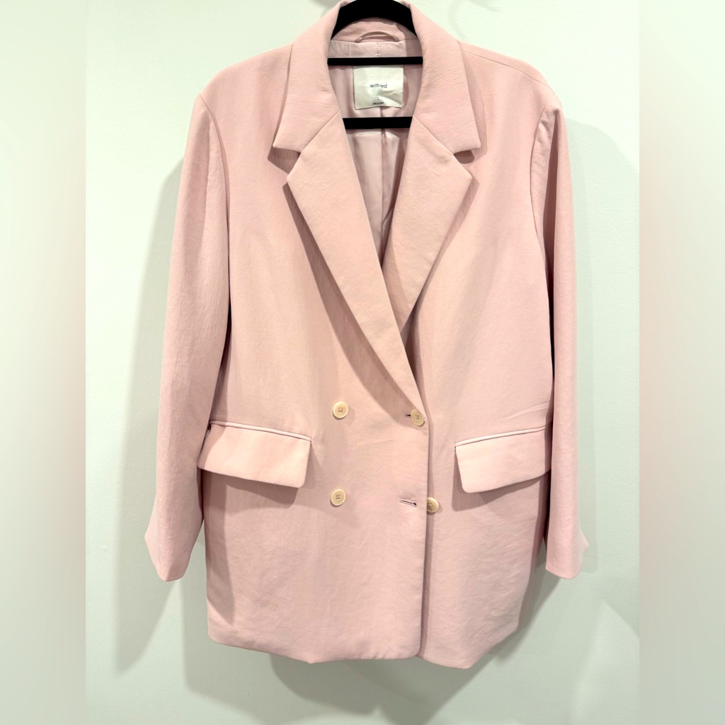 Aritzia Blazer